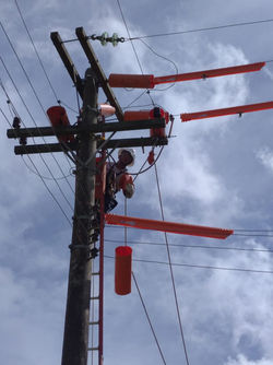 ELETRICISTA EM LINHA ENERGIZADA
