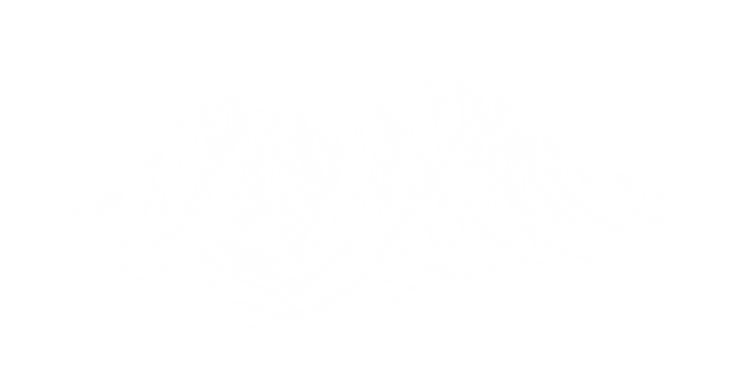illus montagne.png