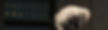 Pupillage and Tenancy - Banner_edited.jpg