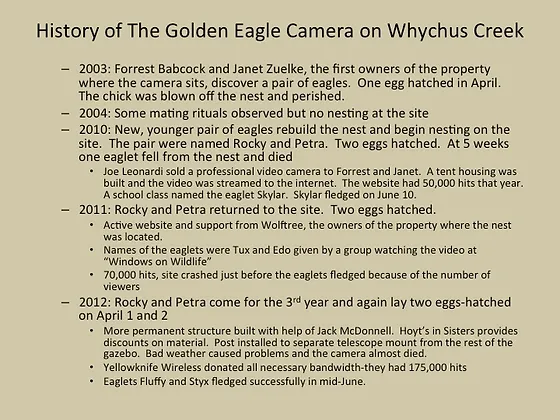 Golden Eagle Cam Ecas