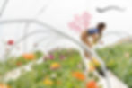 Gardening Without the Ache