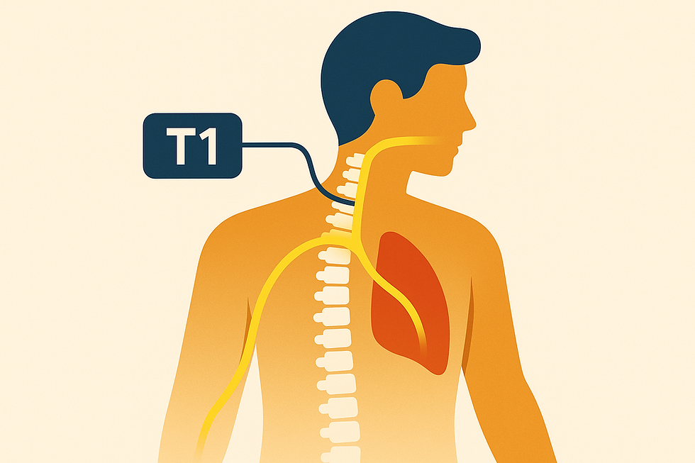 Educational diagram showing the T1 spinal nerve and its connection to lung and chest function, used by Dopps Chiropractic in Overland Park, KS to educate patients about spinal health.