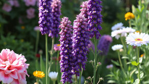 Colorful flowers with a focus on a pink rose and purple blooms.