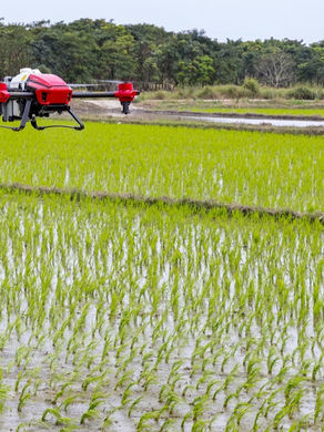 Drone over green fields