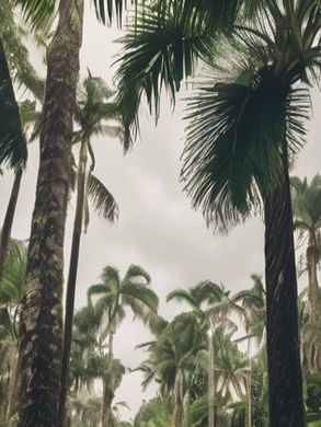 Tall palm trees under a cloudy sky in a lush forest setting, creating a tranquil and natural atmosphere. Green foliage dominates the scene.