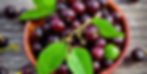 A wooden bowl filled with dark purple jamun fruits and green leaves on a wooden surface. The scene is vibrant and fresh. By The Economic Botanist