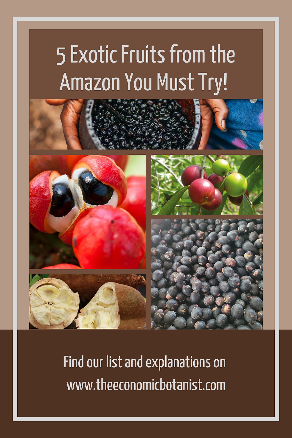 Collage of 5 Amazon fruits with diverse colors and textures. Text reads, “5 Exotic Fruits from the Amazon You Must Try!” with website link.