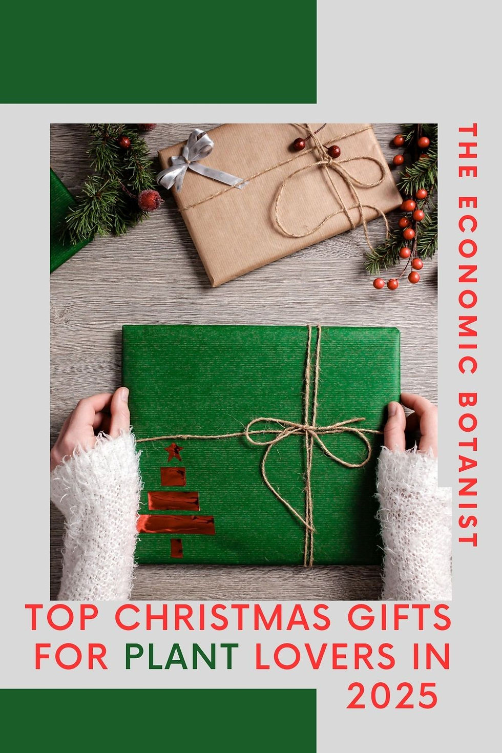 Hands hold a green gift with twine on a wooden table, surrounded by pine branches. Text: "Top Christmas Gifts for Plant Lovers in 2025."