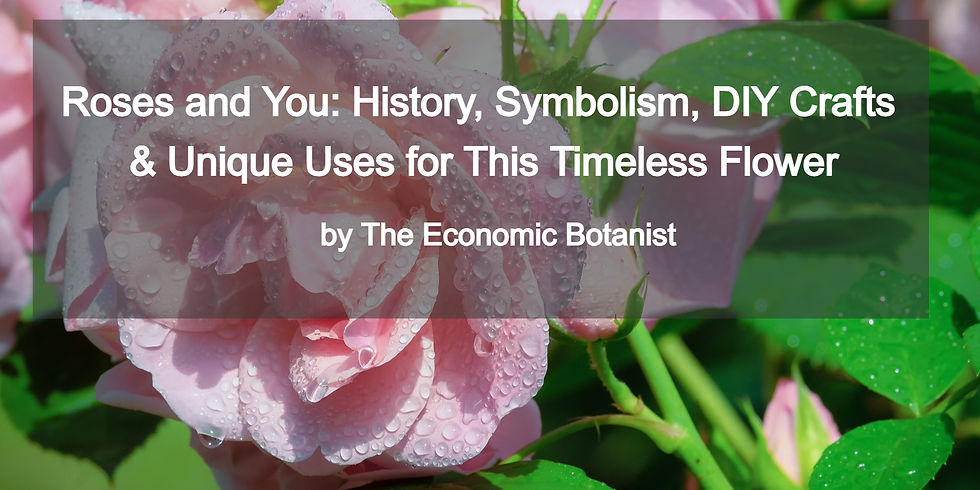 . Text overlay: "Roses and You: History, Symbolism, DIY Crafts & Unique Uses by The Economic Botanist."