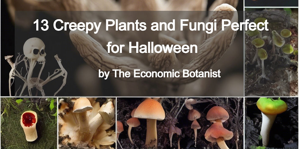 Collage of eerie fungi and plants, featuring skull-like fungi. Text: "13 Creepy Plants and Fungi Perfect for Halloween by The Economic Botanist."
