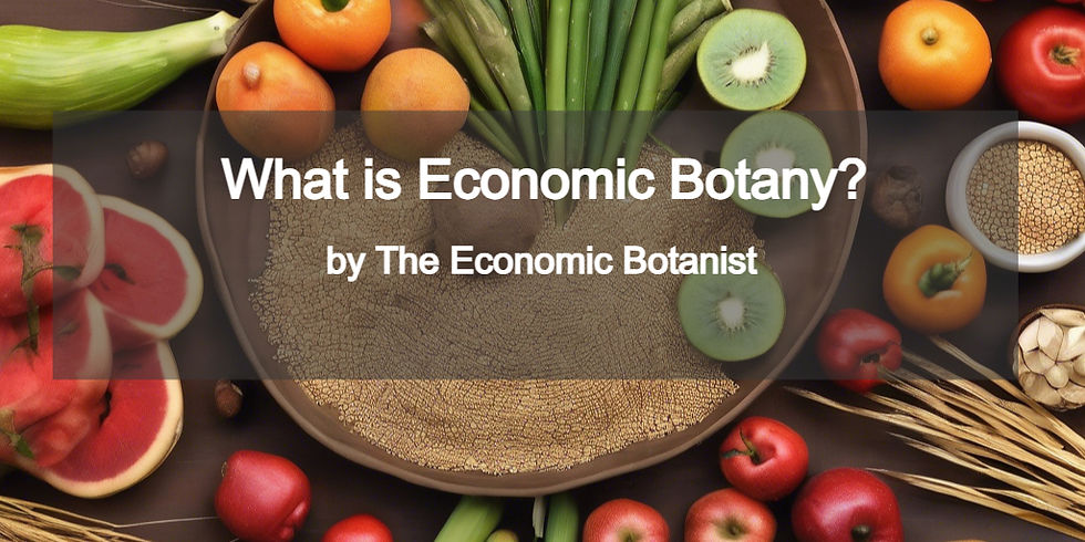 Assorted fruits and grains surround text: "What is Economic Botany? by The Economic Botanist." Bright colors, educational theme.