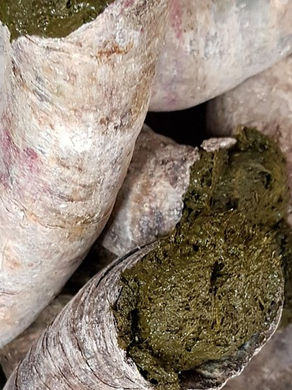 a close-up of filled animal horns