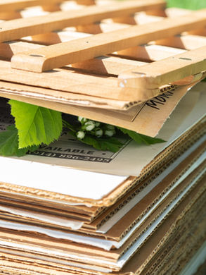 Understanding the Importance of Herbaria in Botany and Plant Conservation