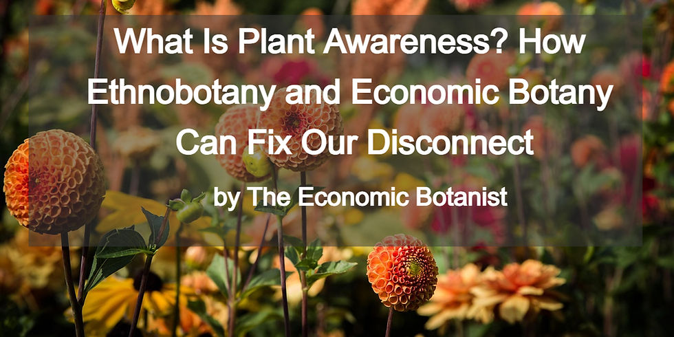 Vibrant flowers with text overlay: "What Is Plant Awareness? How Ethnobotany and Economic Botany Can Fix Our Disconnect by The Economic Botanist."