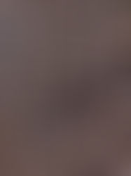 A pile of dried cloves, brown with bulbous tops and stem-like bodies, fills the frame, creating a textured pattern.