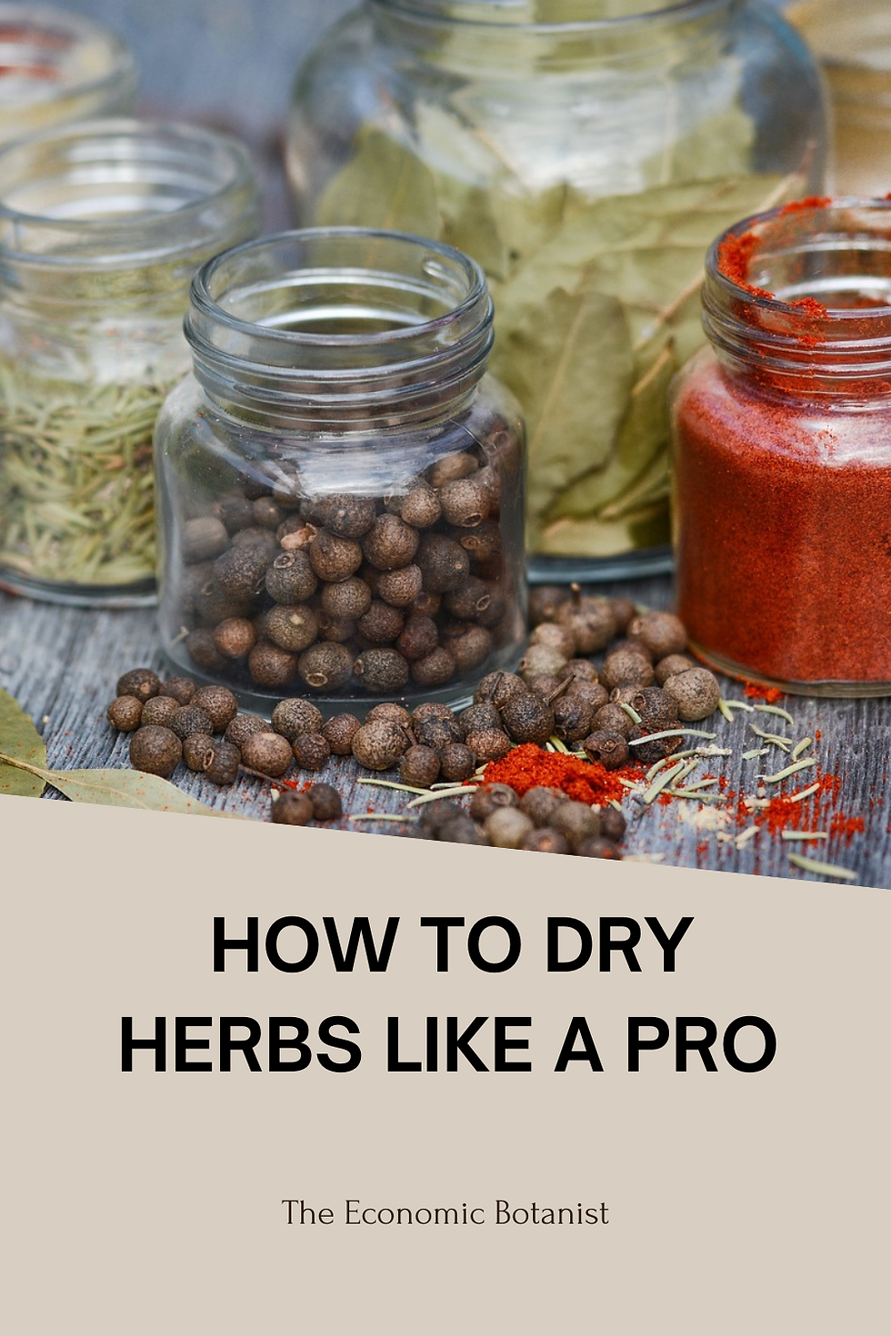 Jars of herbs and spices on a wooden table, including bay leaves and pepper. Text: "HOW TO DRY HERBS LIKE A PRO" and "The Economic Botanist".