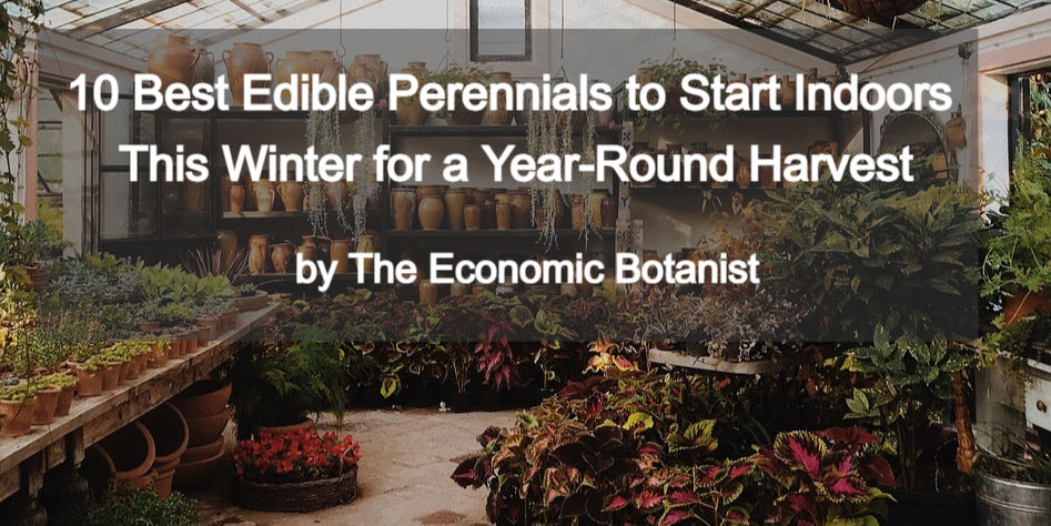Greenhouse filled with plants and pots. Text: "10 Best Edible Perennials to Start Indoors This Winter for a Year-Round Harvest by The Economic Botanist."