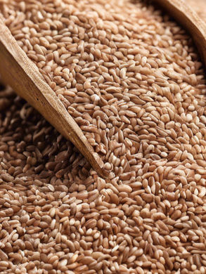 Close-up of a wooden scoop filled with goldeny-brown teff grains on a rustic wooden surface, creating a warm and natural mood. www.theeconomicbotanist.com