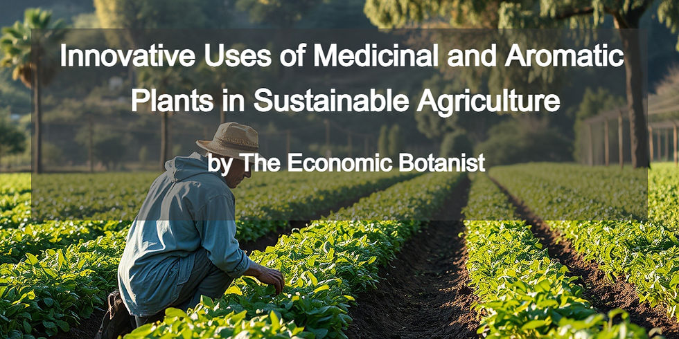 Farmer in a vast green field examines plants under a clear sky. Text: "Innovative Uses of Medicinal Plants in Sustainable Agriculture."