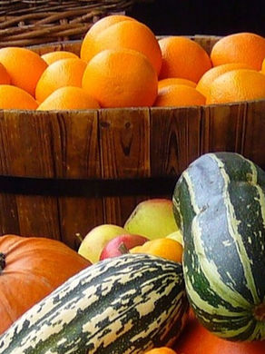 Assorted fruits and squashes in baskets; apples, oranges, pumpkins.
