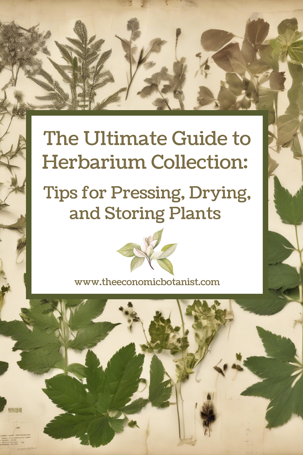 Guide titled "The Ultimate Guide to Herbarium Collection" on pressing, drying, storing plants. Background features dried plant specimens. www.theeconomicbotanist.com