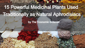 Top view of colorful herbs and spices