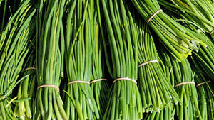 Close-up of several bundles of fresh green chives tied with rubber bands. The vibrant green color suggests freshness and liveliness.