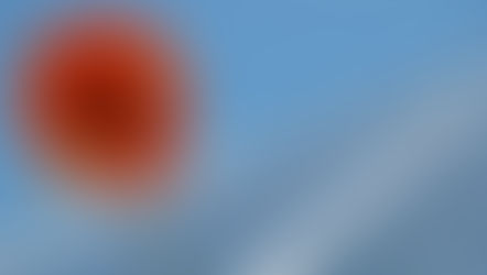 Close-up of an orange flower against solar panels and a blue sky.