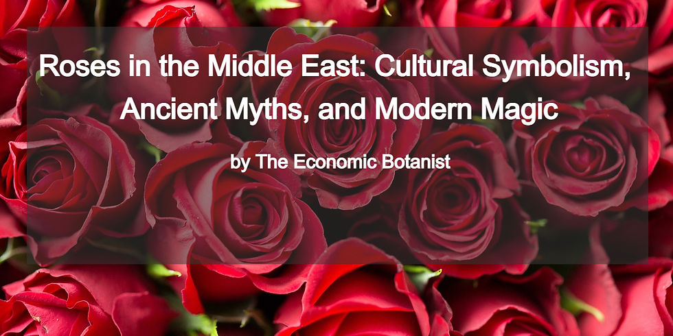 Red roses background with text overlay: "Roses in the Middle East: Cultural Symbolism, Ancient Myths, and Modern Magic" by The Economic Botanist.