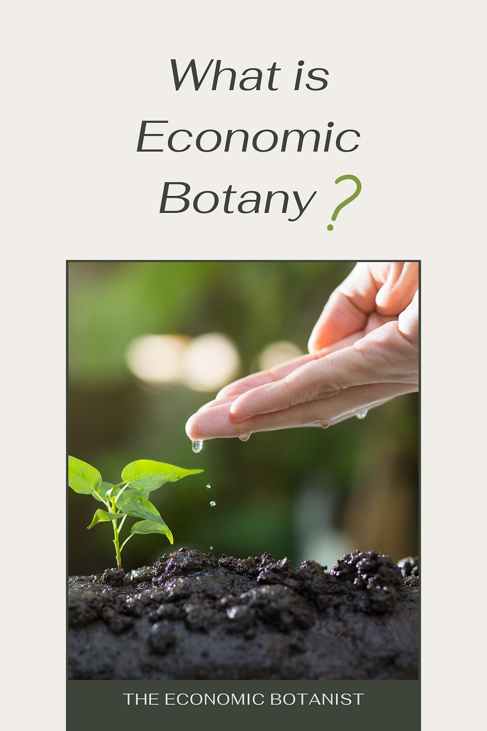Hand watering a small plant, with droplets visible, against a blurred green background. Text: "What is Economic Botany?" and "The Economic Botanist".