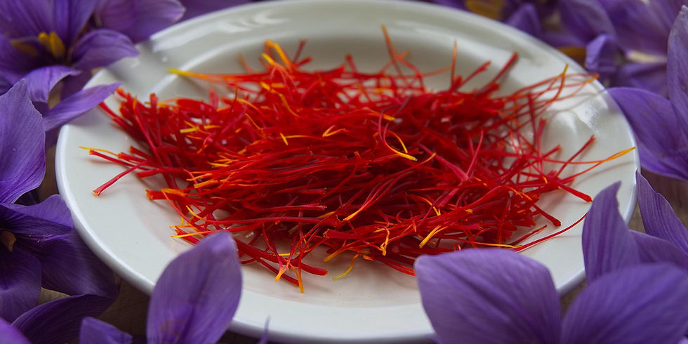 Red saffron threads on a white plate, surrounded by vibrant purple crocus flowers. Bright colors create a vivid, lively mood.