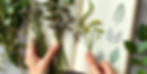 Hands holding an open sketchbook with pressed flowers on one page and leaf illustrations on the other, surrounded by fresh greenery.