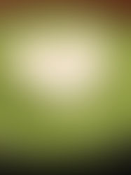 A green matcha latte with heart art in a black cup.