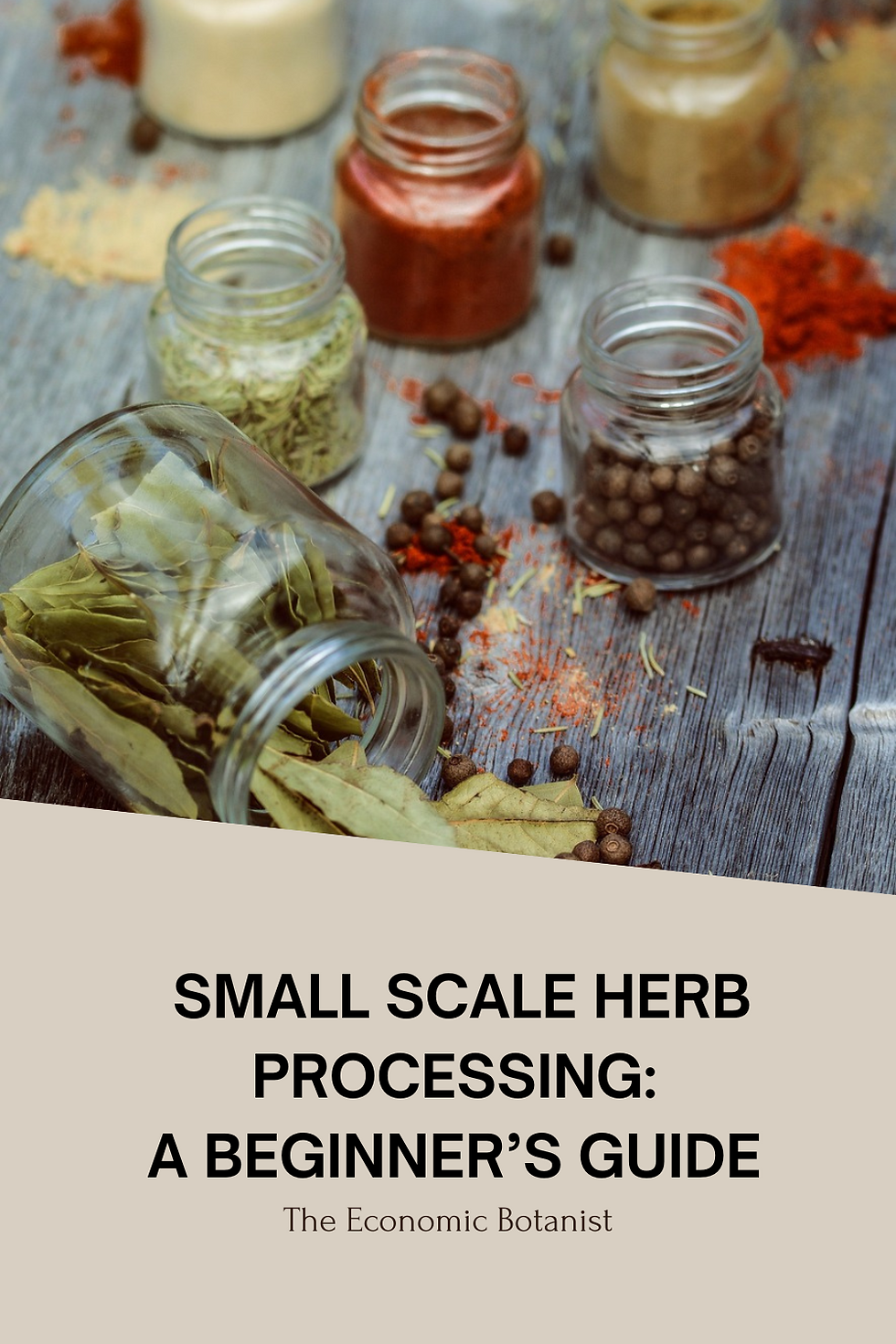 Jars with herbs and spices, including bay leaves and peppercorns, on a wooden surface. Text: Small Scale Herb Processing: A Beginner's Guide.