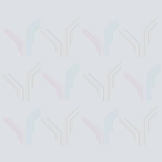 Instagram Post Citação Depoimento Escola Moderno Azul (3)_edited_edited.jpg