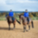 AMZ Saddles - Shoot _Fayes-33.jpg[20608].JPG