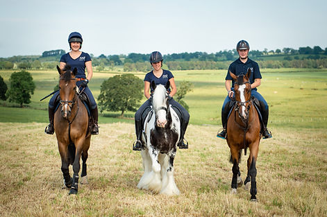 AMZ SADDLES FP-149.jpg
