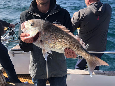 Double Rum Winter - Spring Fishing Report