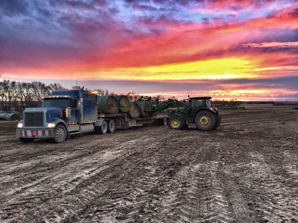 Chandelier (song) visual data 5