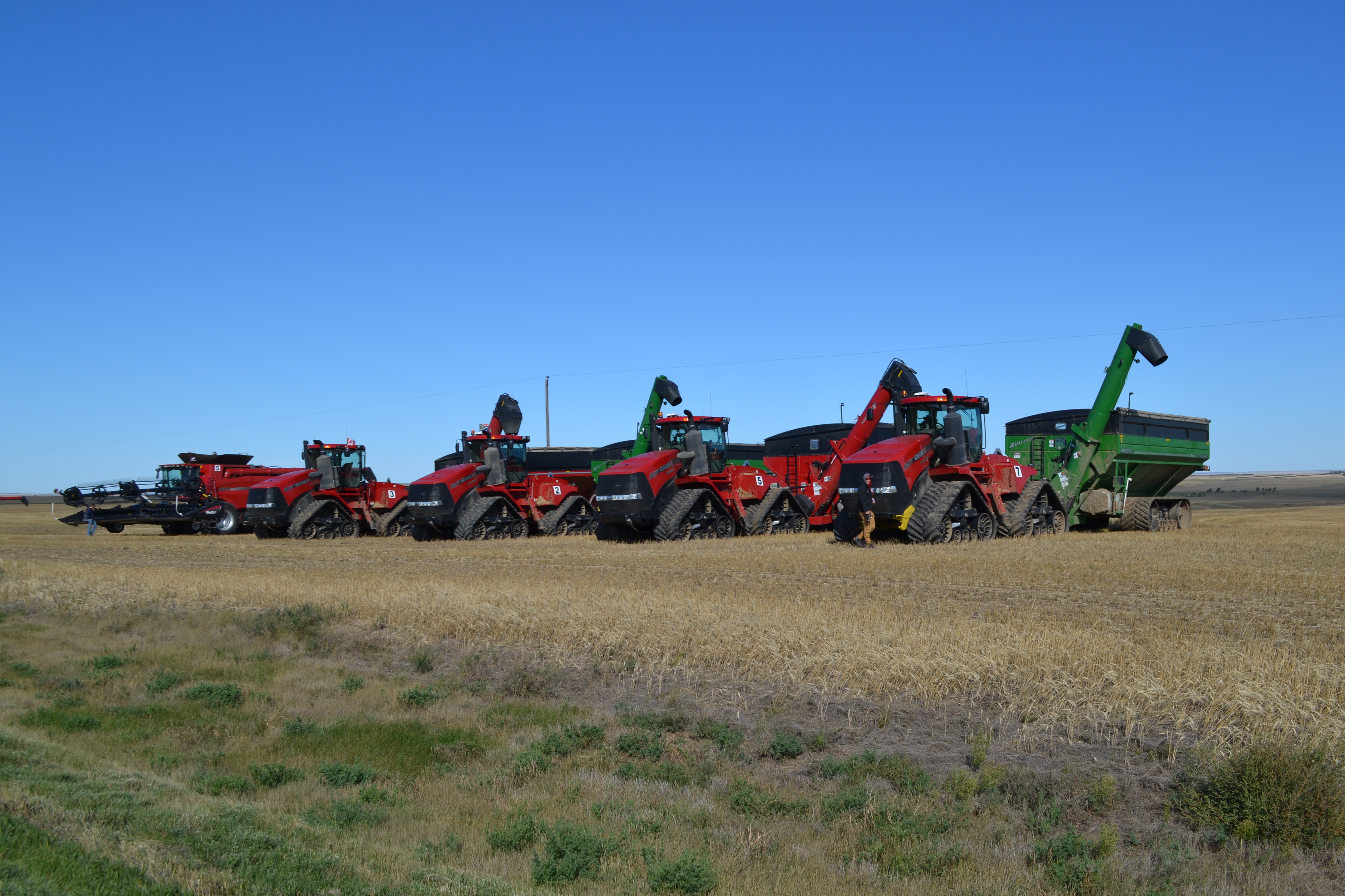 Chandelier (song) visual data 6