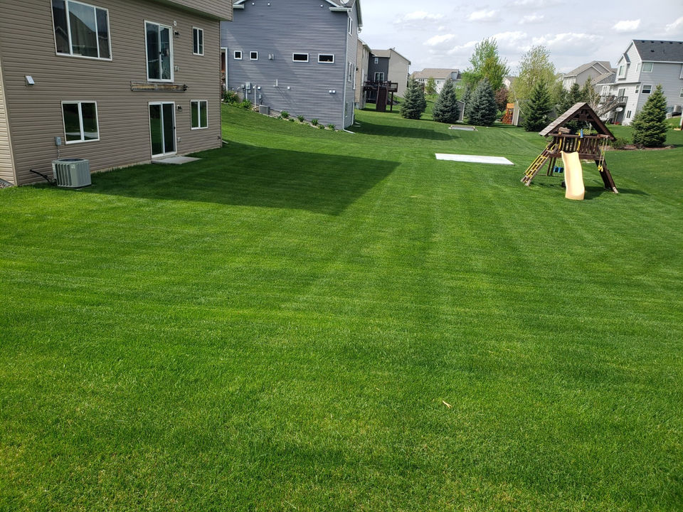 Lush Green Lawn and Playground
