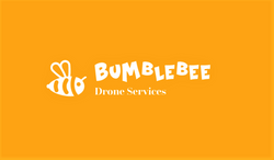 bumbleebee
