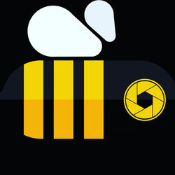 Bumblebee Logo Png