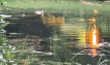 Untitled-1_edited.jpg