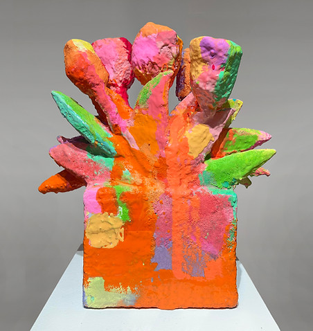 carson fox 1_edited.jpg