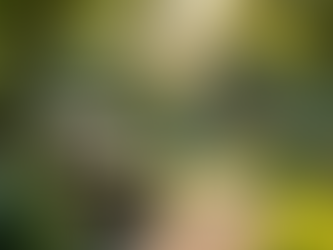 Essential Estate Planning Tips for Seniors