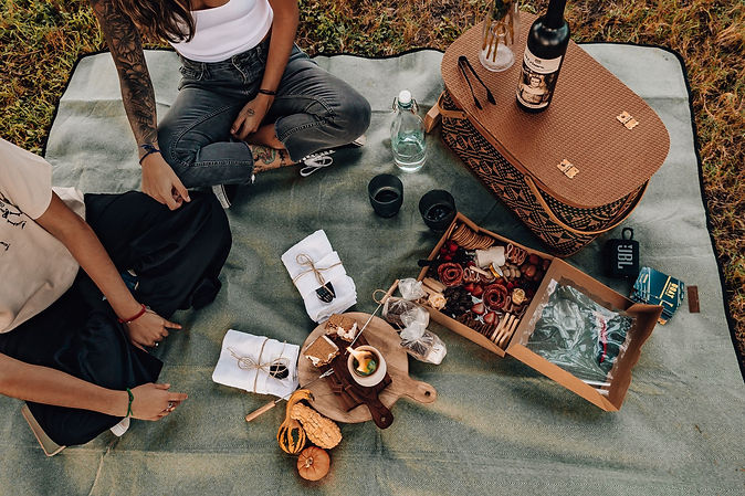 ariel 2 - picnic please.jpeg