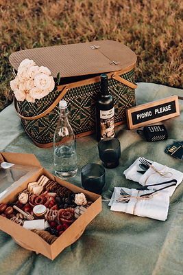ariel - picnic please.jpeg