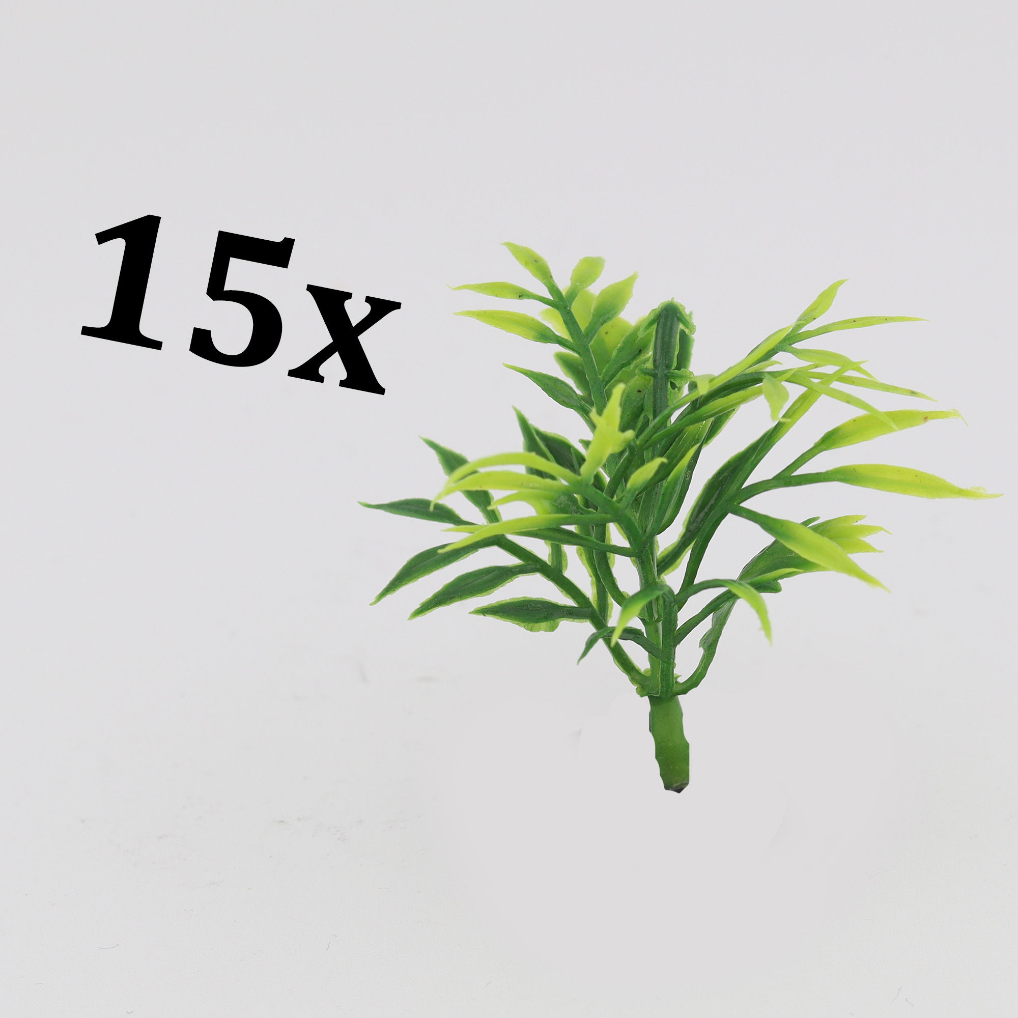 Exotic plants (variant 1)