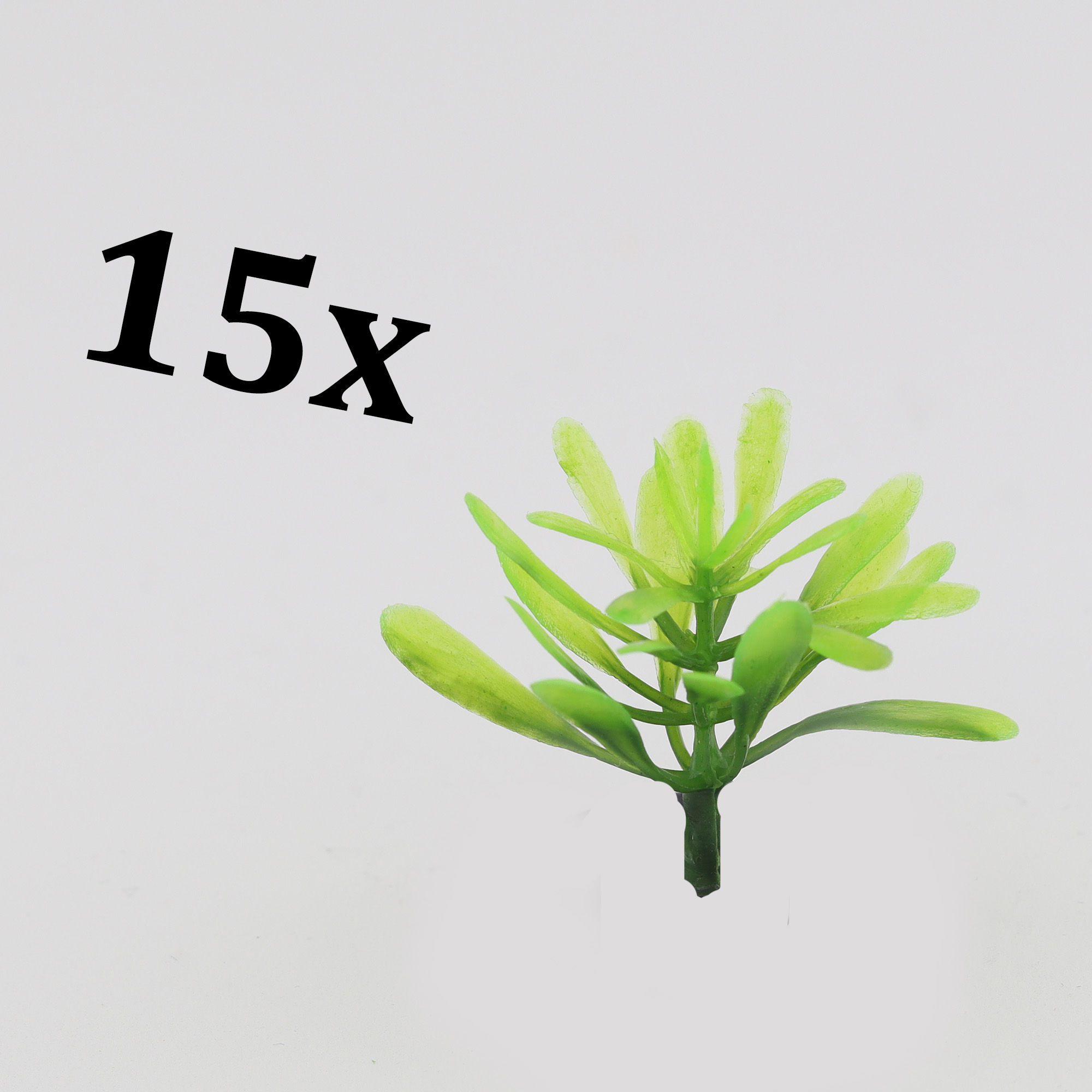 Exotic plants (variant 3)